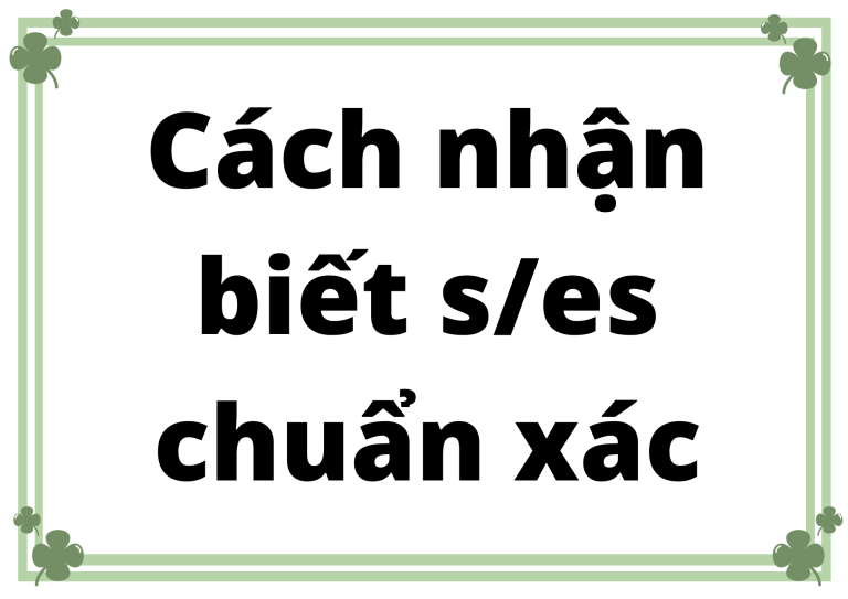 Cách nhận biết s/es chuẩn xác: Bí quyết chinh phục IELTS và giao tiếp tự tin